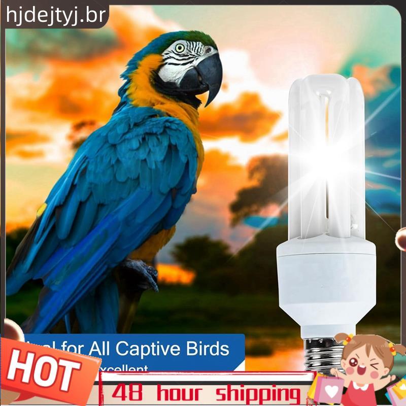 Lâmpada UVA UVB Para Cativa Pássaros 2.4 20W Fluorescente Compacta Todos Os Tipos B