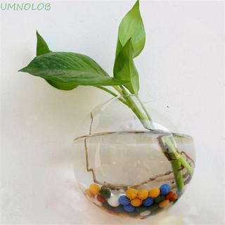 UMNOLOB Vaso Montado Na Parede , Recipiente Para Plantas , De Flores , Garrafa De Arranjo De Vidro