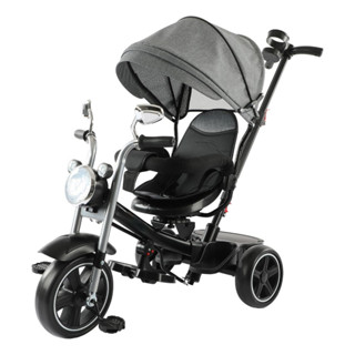 Triciclo Infantil Com Empurrador E Cobertura Cinza Com Música, Rodas EVA, Apoio Para Os Pés E Assento Giratório em Oferta na Shopee