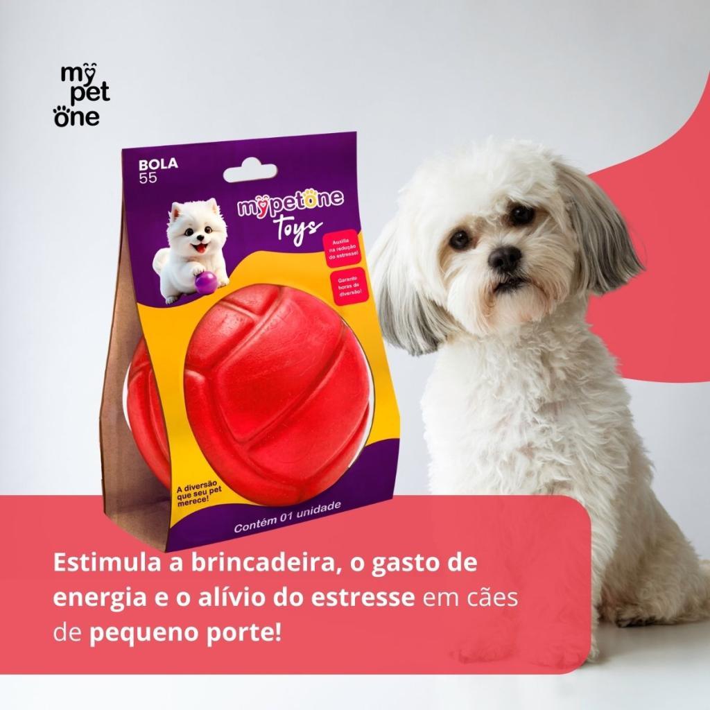 2 Bola Lisa MACIÇA MyPetOne Vermelha 55mm Brinquedo RESISTENTE Para Cães · foto 2