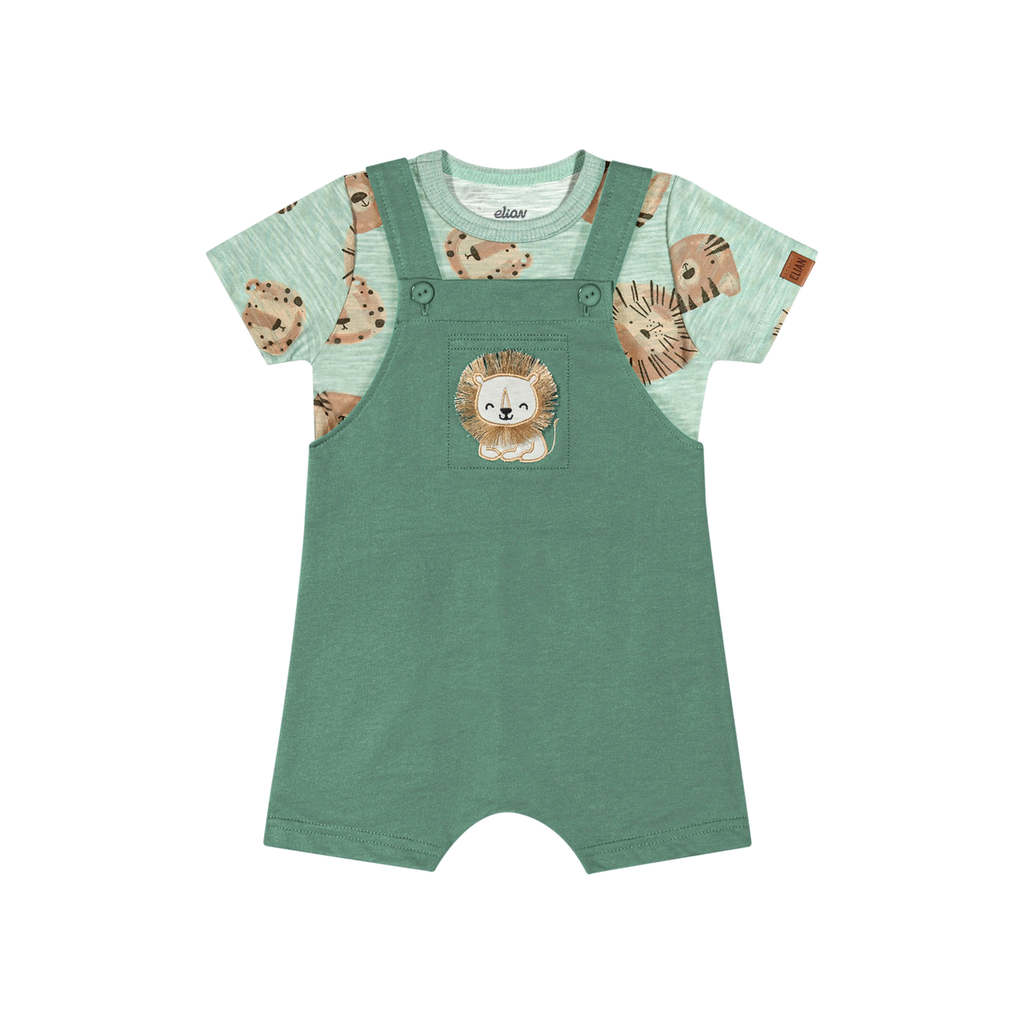 Conjunto Bebê Menino Leão Com Bordado Elian Verde em Oferta na Shopee