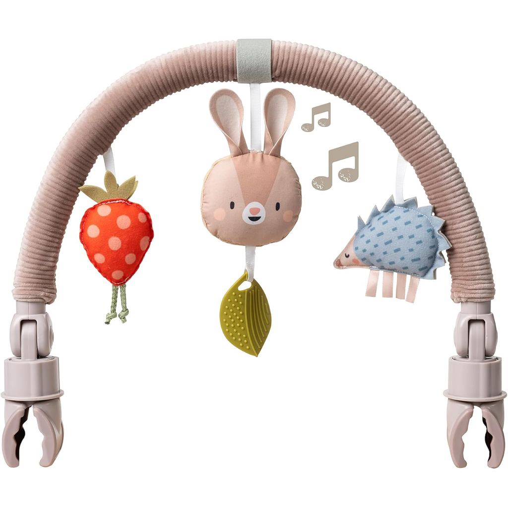 Arco de Atividades Taf Toys - Ideal para Bebês e Crianças Pequenas, Compatível com Carrinhos de Bebê e Carrinhos de Pass
