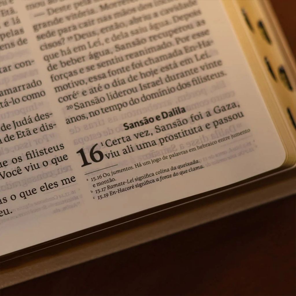 Bíblia Sagrada | NVI | Letra Gigante | Marrom Com Índice · foto 2
