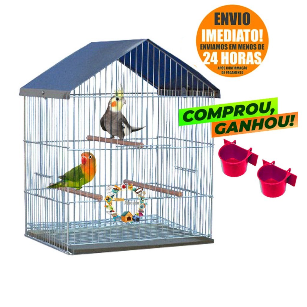 O que é Periquito Australiano? Guia e Onde Comprar | BuscaProdutos