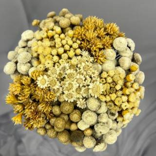 Buquê Mix Claro, Mix de Sempre Vivas, Flores secas em Oferta na Shopee