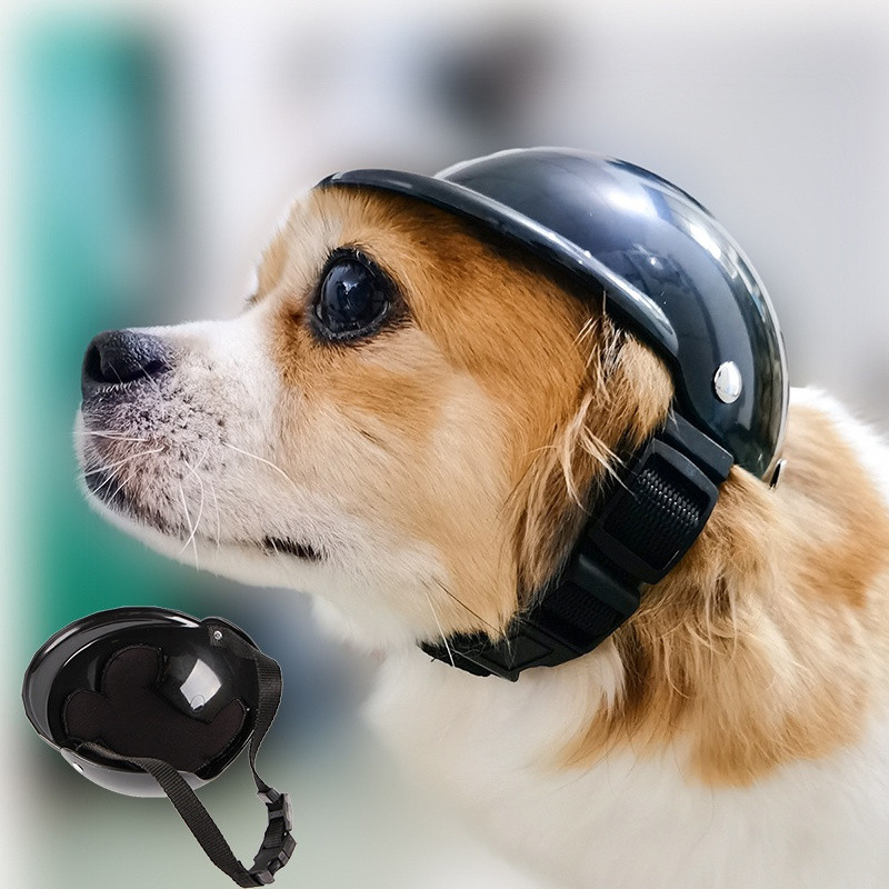Verão Chapéu Do Cão Gato Da Motocicleta Capacete Legal Pet Cap Para Small Medium Cães Filhote De Cachorro Cocar mascotas