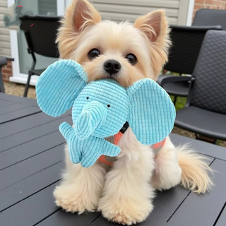 Brinquedo Pet Pelucia Elefante Azul com Apito Para Cachorro Gatos Pets 6049