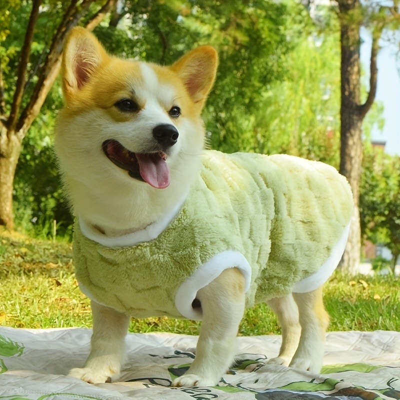 Roupas para Cães Corgi, Shiba Inu, Teddy, Dachshund, Colete Anti-Perda de Pelo para Outono e Inverno, Suéter de Lã Quent