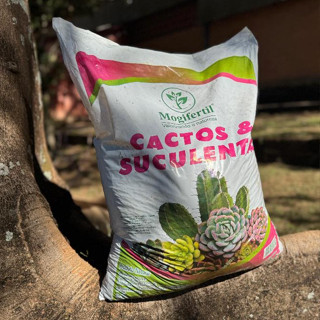 Substrato Cactos e Suculentas 20kg Mogifertil Terra Vegetal Natural Pronta Uso Jardim Vaso Plantas em Oferta na Shopee