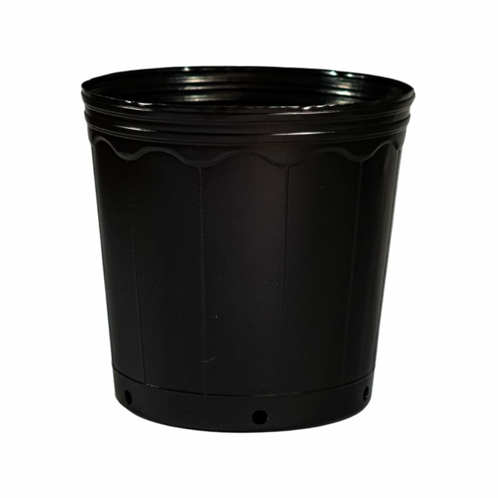 30 Pote Vaso de Muda 3 Litros