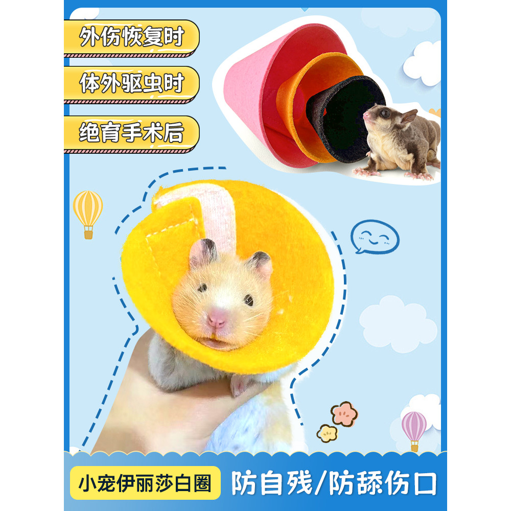 Hamster Elizabeth colar mel planador colar flor ramo rato anti-mordida colar banho pequenos suprimentos para animais de