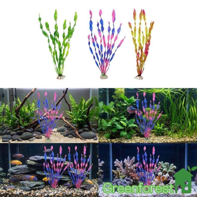 greenfor 10 Peças Espirais Planta Para Tanques Peixes Paisagem Aquário Ornamento Grama
