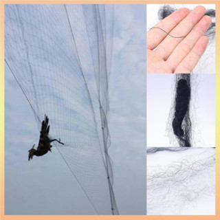 Rede De Pássaros Videira Frutas Malha Preta Proteção De Colheita 6m 4m Pretos Para Dissuasor De Pragas Pomar Suprimentos em Oferta na Shopee