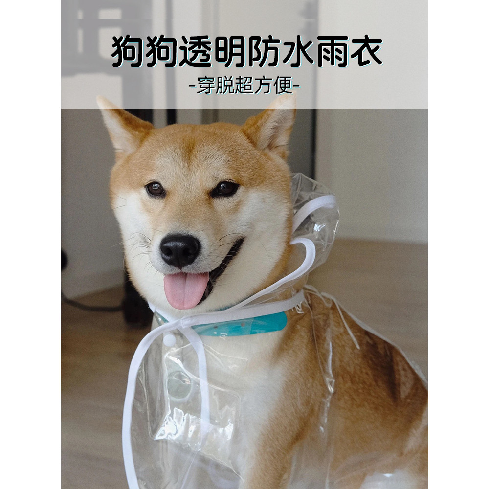 Filhote de cachorro de estimação transparente capa de chuva grande Golden Retriever pequeno cão médio Teddy Shiba Inu ro