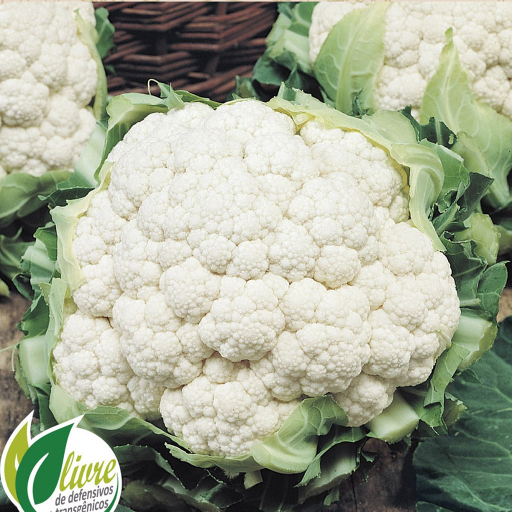 1000 Sementes de Couve-Flor Bola de Neve (Snowball) | Hortaliça Branca | Para Horta e Jardim | Alta Germinação
