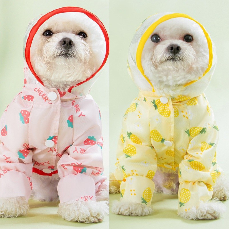 Fêmea Macho Cachorro Capa De Chuva Cartoon Frutas Impressão Roupas Para Cães Animais De Estimação Rainy Pet Suprimentos