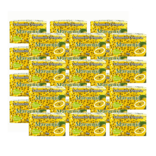Kit 24 Sabonetes Naturais Maracujá 90g Aroeira | Calmante, Hidratante, Vegano e Artesanal em Oferta na Shopee