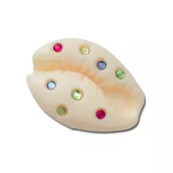 Jibbitz™ Concha Puka com Gemas Único