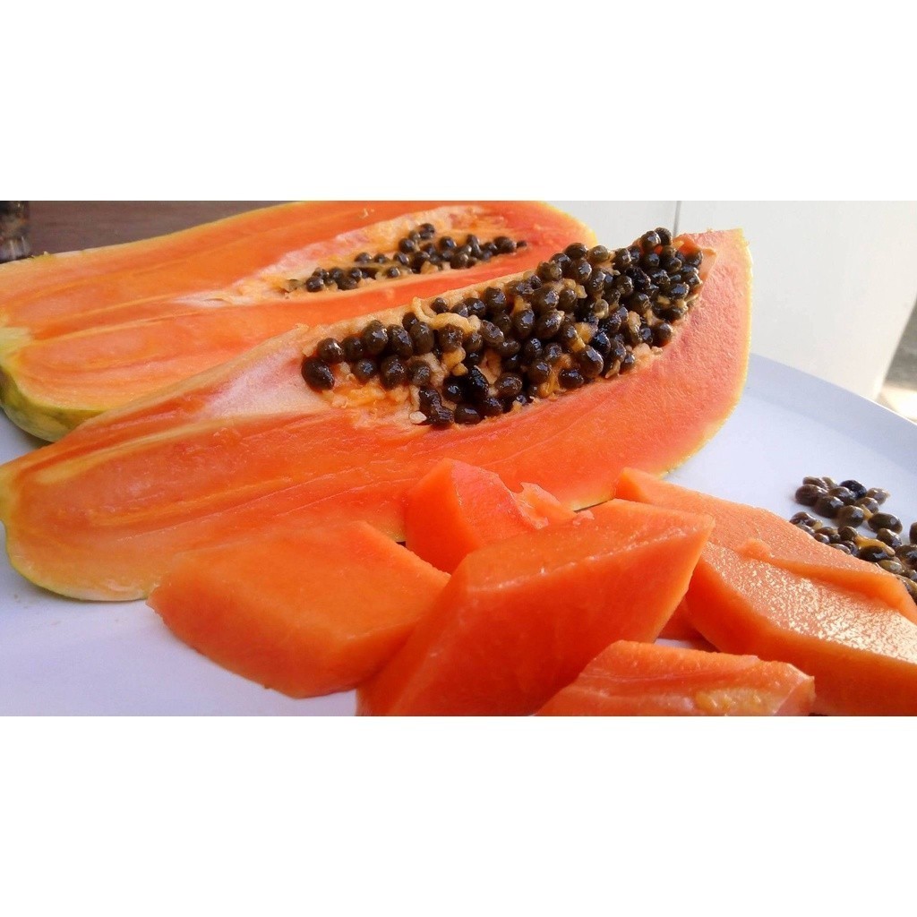 Kit 1000 Sementes de Mamão Anão Thai Holland para plantio de Mudas da fruta