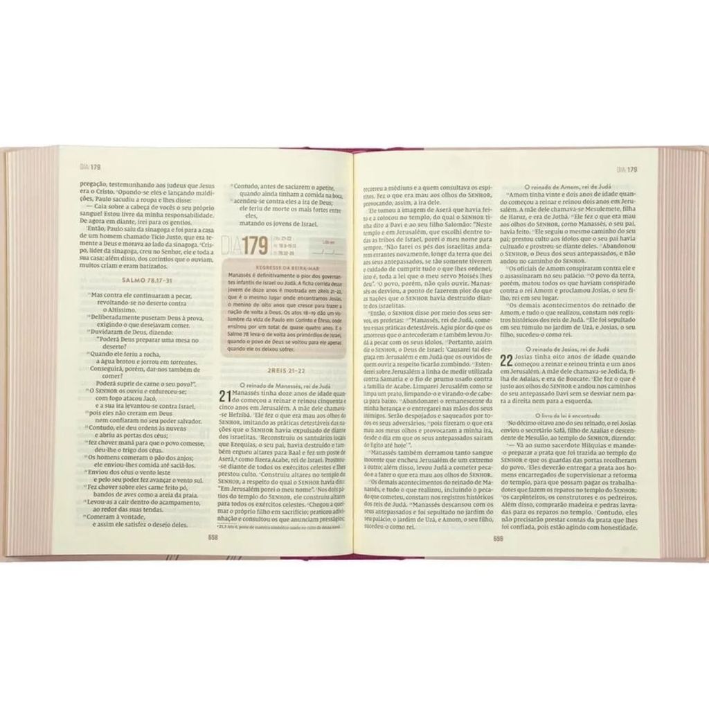 Bíblia Diária | NVI | Capa Dura Tecido | Leitura Perfeita | Coração Florido — imagem 2 de 2