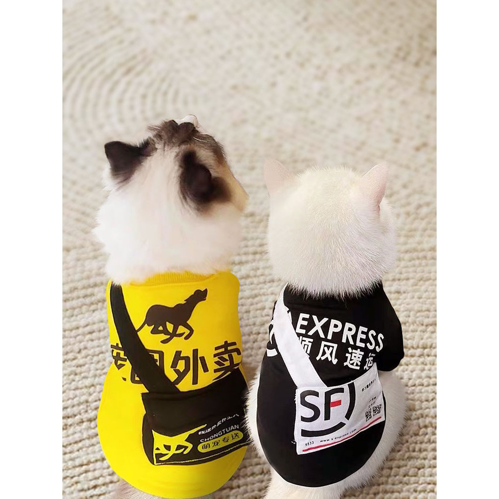 Filhote de cachorro roupas de gato engraçado roupas de gato pequeno cão Teddy Shiba Inu outono Pet mochila gatinho 2023