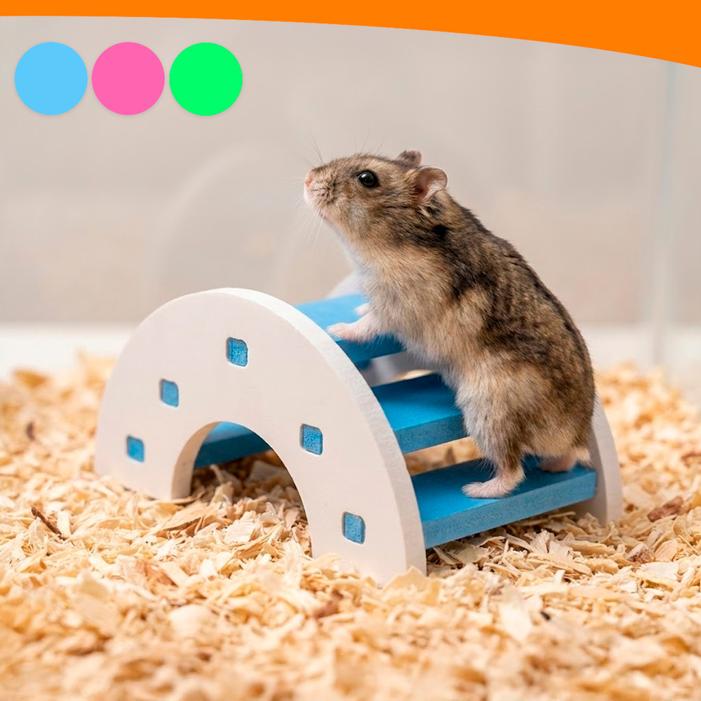 Brinquedo Hamster Escada em PVC Impermeável Higiênico 9cm Coelhos Passaros
