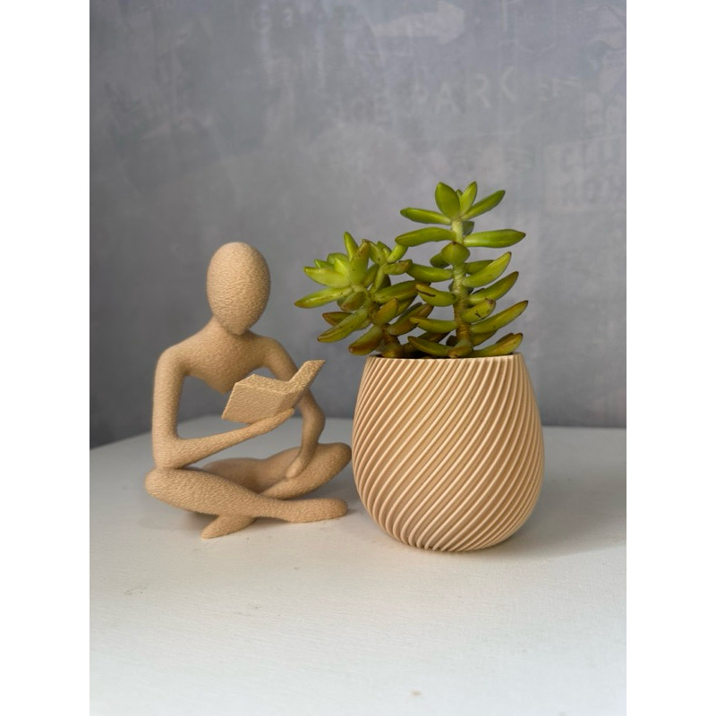 Estátua Livro + Vaso para Suculenta – Decoração Moderna 3D em Oferta na Shopee