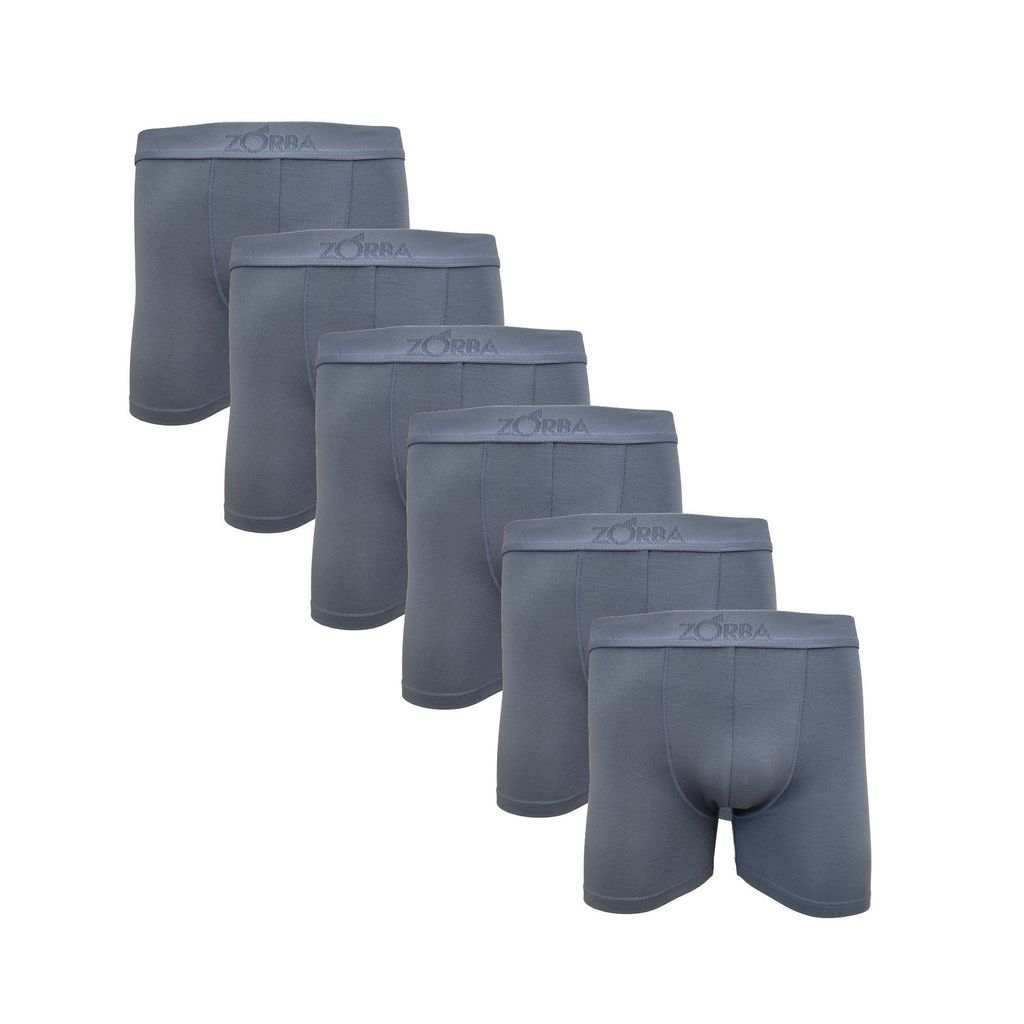 Kit 6 Cuecas Zorba Boxer Fit Modal 689