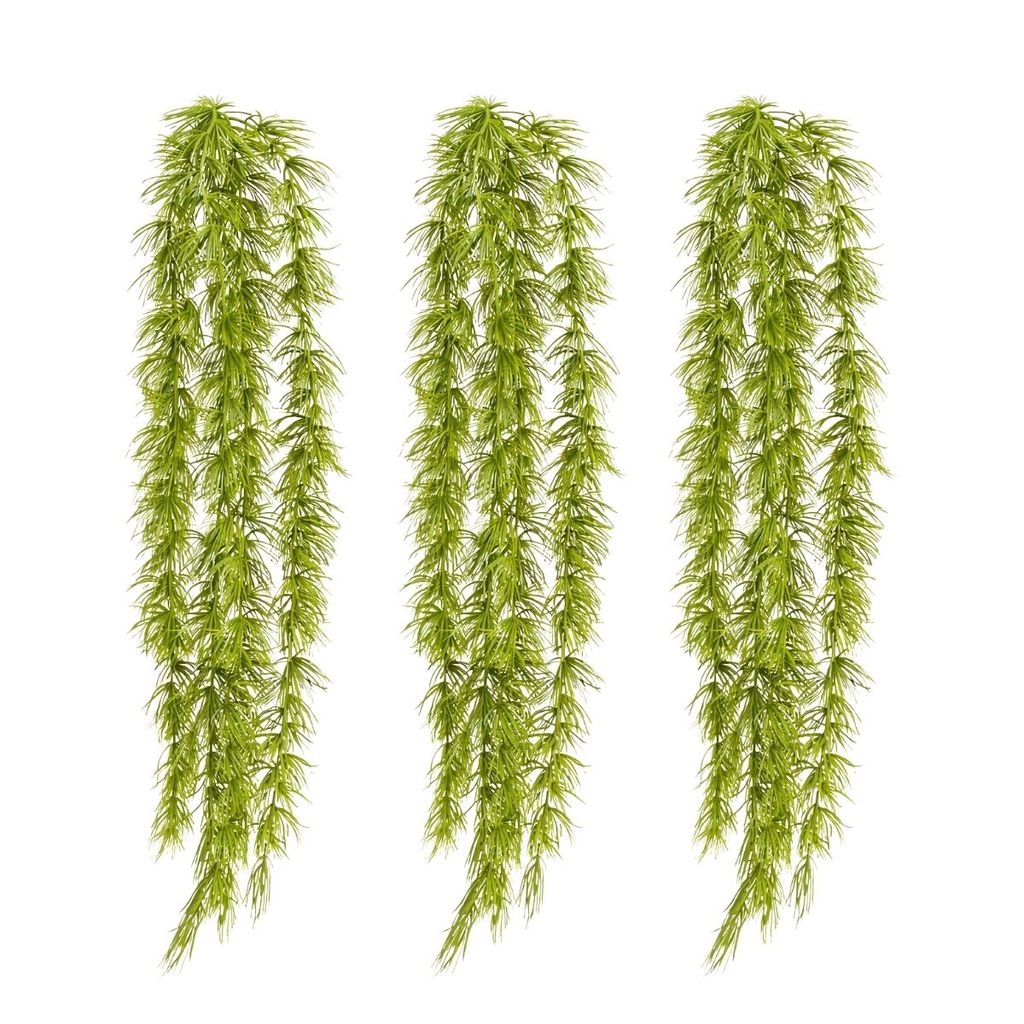 Aspargo Planta: Guia Completo e Onde Comprar | BuscaProdutos