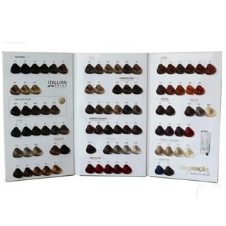 Cartela De Mechas Unificadas Itallian Color  Professional Tabela de Colorações em Oferta na Shopee