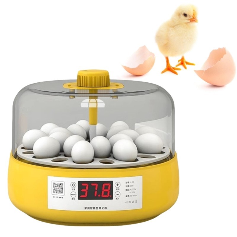 Incubadora Automática De Incubação Para Virar Ovos-Capacidade De 18 Com Controle De Temperatura E Umidade Vista 360 em Oferta na Shopee