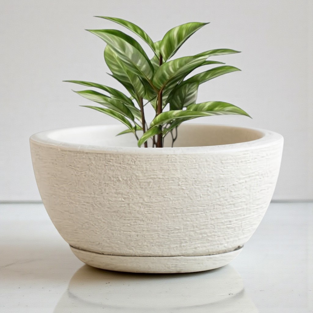 Vaso de Planta Decorativo Bacia Escovada 13x25 com Prato em Polietileno Suculentas e Cactos