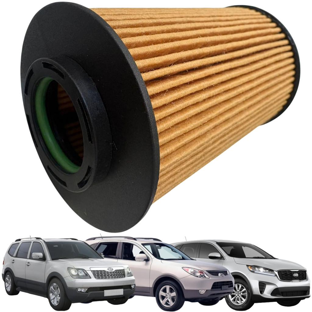 Filtro de Óleo do Motor FB para Veracruz Mohave Sorento 3.8 24V EOFB034