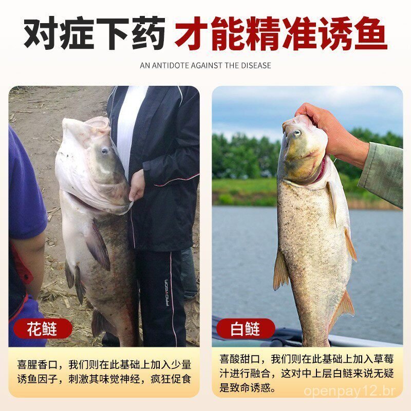 Atrativo de pesca de alta concentração, doce e azedo, para carpa cruciana, carpa, pesca em poço negro e pesca selvagem,