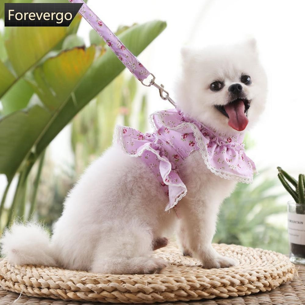 FOREVERGO Conjunto De Coleira E Arnês Para Animais De Estimação , 1.2M , Corrente Cães Pequenos Gatos , Caminhada , Cole