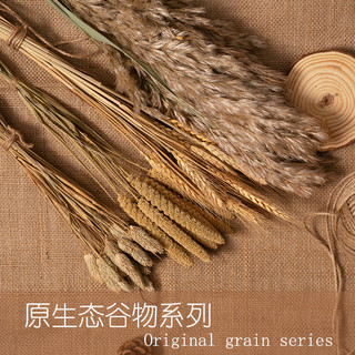 Anel de jardim de infância criativo Material natural flor seca orelha de trigo natural Original ecológico artesanal deco