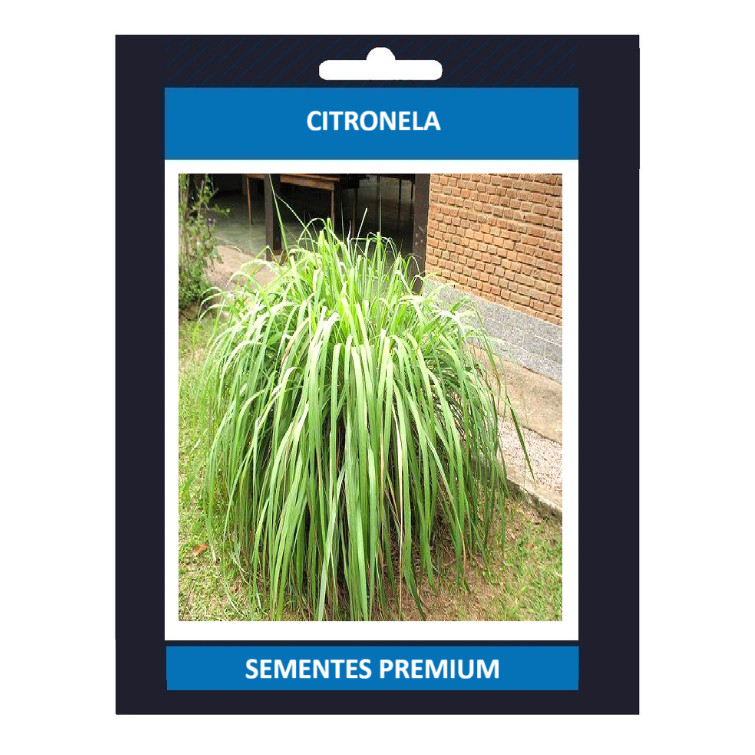 PROMOÇÃO PROMOÇÃO 200 Sementes Citronela Repelente Do Mosquito Da Dengue Zika + Manual de Plantio ENVIO RÁPIDO III Premi