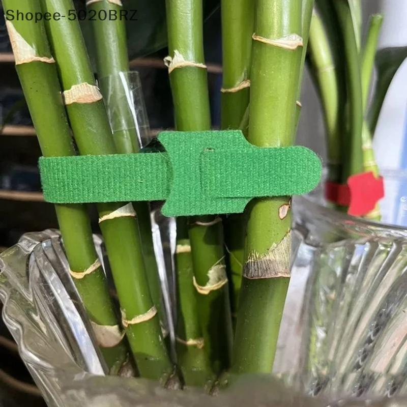 [THEBR] Laços De Plantas De Nylon Reutilizáveis 50 100 200pcs Gancho Ajustável Antiderrapante Para Cultivo Vegetais De E