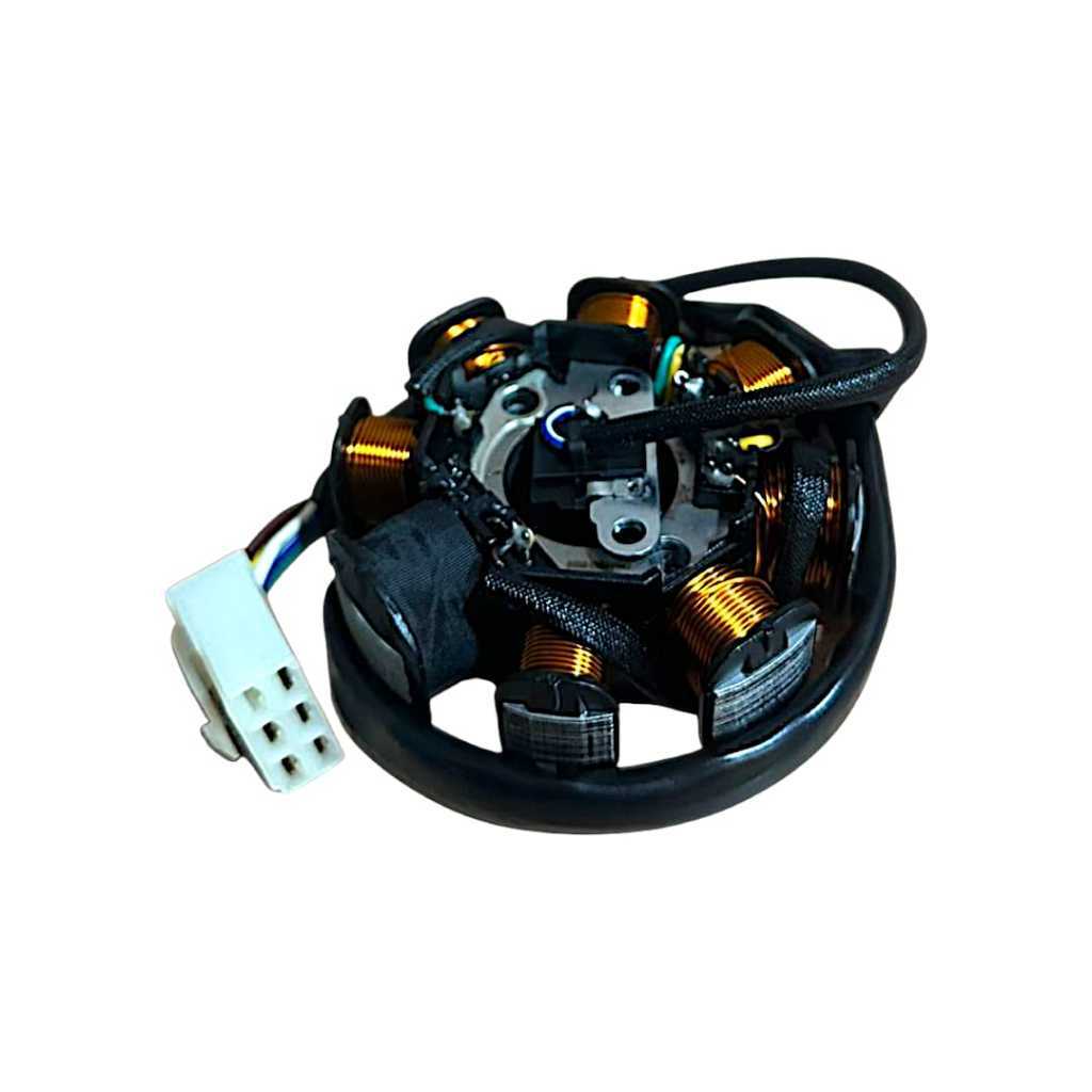 Estator Shineray Jet 50 Jet 125 2014 Até 2024 Modelo Completo — imagem 2 de 2