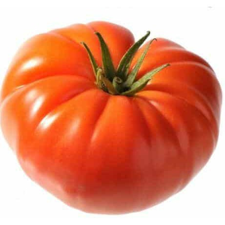 500 Sementes de Tomate Maçã High-Qiao Fácil de Germinar | Hortaliça para Horta e Jardim | Alta Produtividade