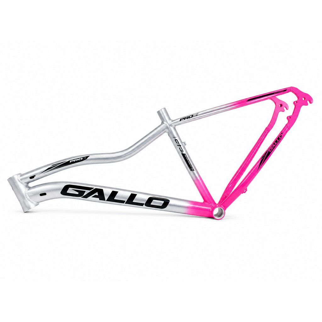 QUADRO 29 GALLO FEMININO BICOLOR ROSA NEON/PRATA ADS.PRETO T15,5