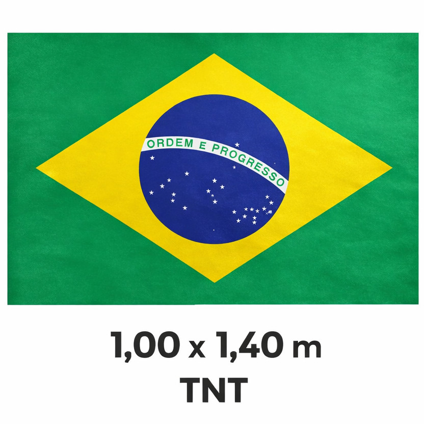 Bandeira do Brasil TNT Painel Grande 1,00x1,40m | Copa do Mundo Decoração Festa Torcida