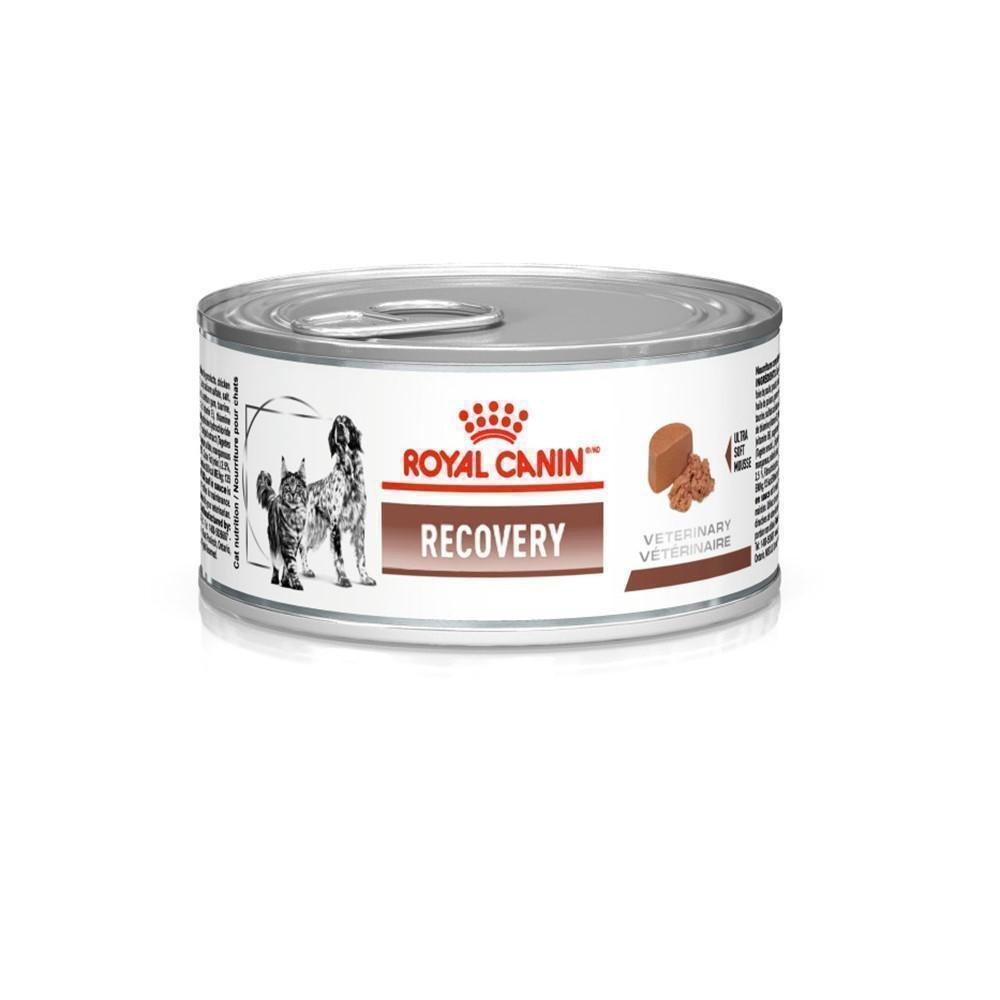 Ração Úmida Royal Canin Lata Veterinary Diet Recovery para Cães e Gatos em Recuperação 195g