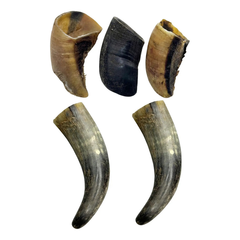Mordedor Natural Cães 3 Casco De Boi 2 Chifre Bovino Pet
