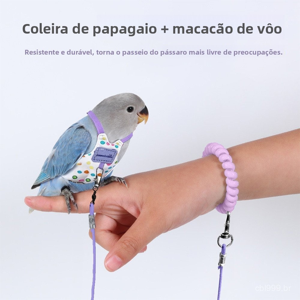 Coleira para papagaio para evitar a perda do pássaro, arnês para passeio de aves, traje de voo para periquitos, coleira