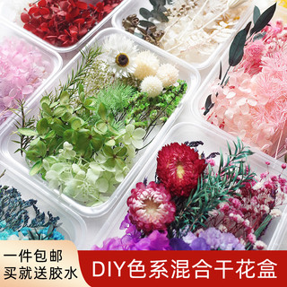 Caixa de flores mistas flores secas mistas pacote de material de flores DIY Gypsophila flor preservada flor Real evento 