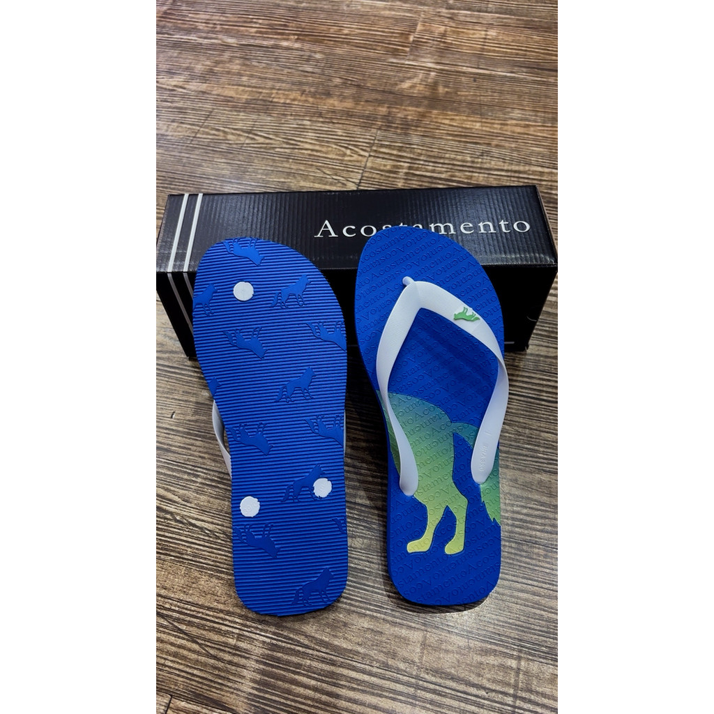 Chinelo Masculino Acostamento Colecao Lobo Copa Brasil - Azul Original