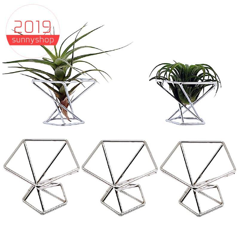 [Bestseller S] Pack 5 Suporte Para Plantas De Ar Suportes Tillandsias Display Recipiente Purificação Samambaia , Prata