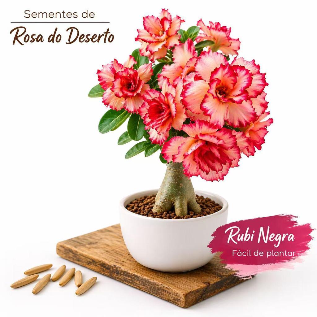 Para jardim Rosa do Deserto em Sementes para Cultivo em Casa