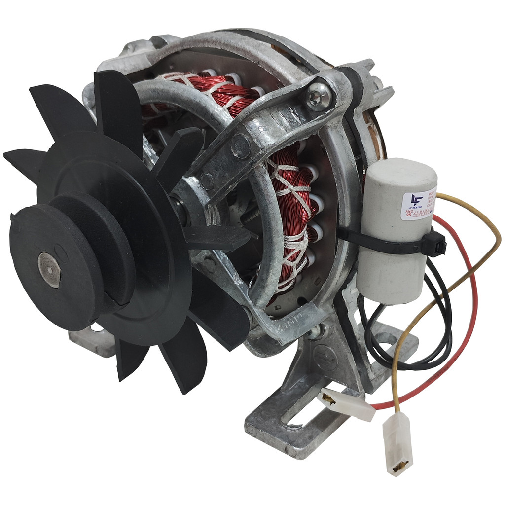 Motor Tanquinho 3Kg 220V Compatível Libell/Lave Mais/Fioreta